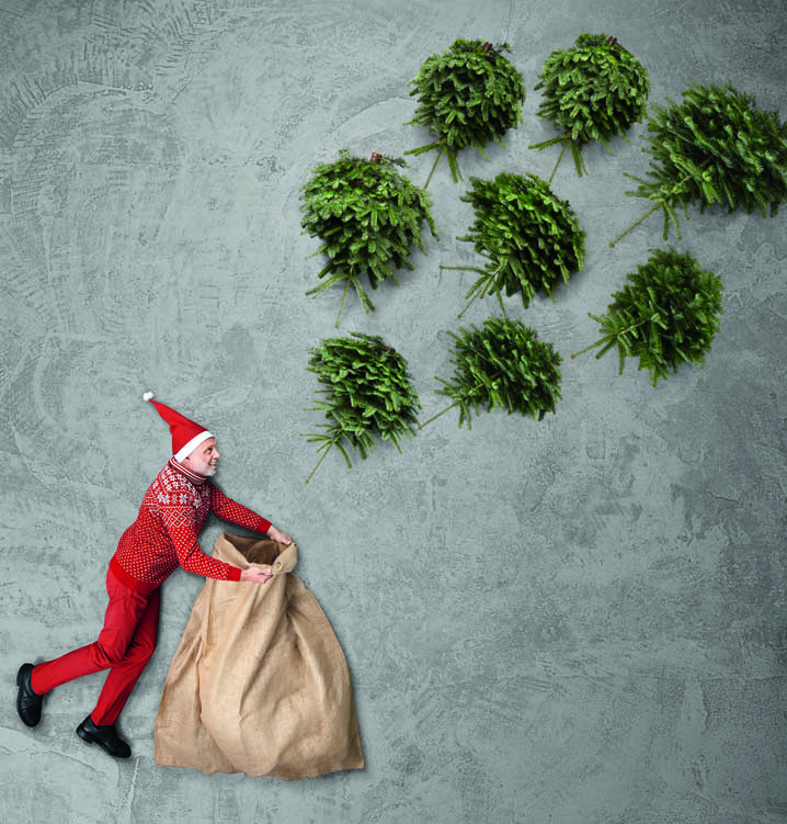 Ein weihnachtlich gekleideter Mann hält einen Sack auf wo Tannenbäume hinein fliegen