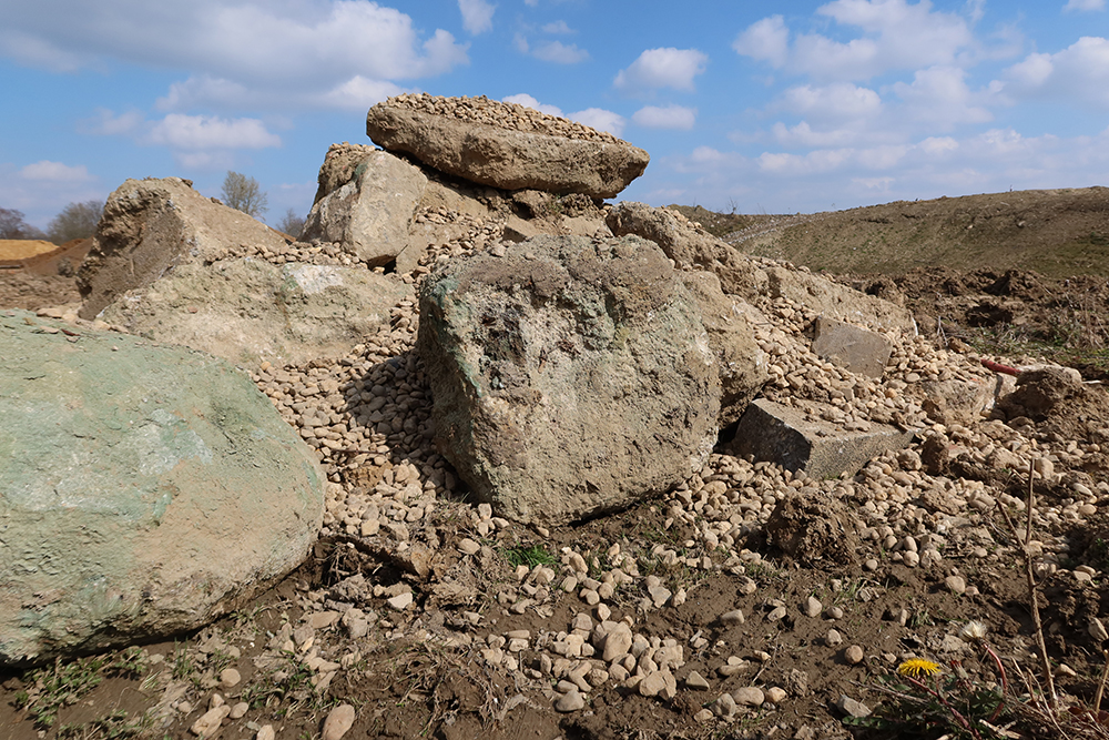 Habitat-Kreuzkroete Ein Hügel aus Schutt und Stein