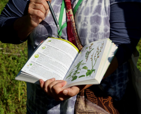 Kraeuterwanderung Eine ältere Dame zeigt auf ein Buch mit Kräutern