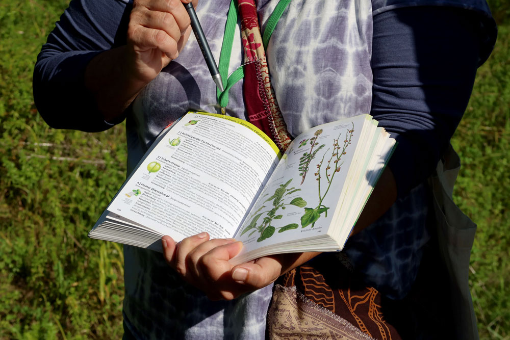 Kraeuterwanderung Eine ältere Dame zeigt auf ein Buch mit Kräutern