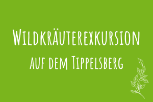 Wildkräuterexkursion auf dem Tippelsberg Zu Wildkräuterexkursion auf dem Tippelsberg